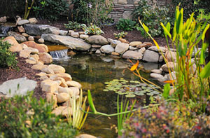 Pond Installer Galston Scotland (KA4)