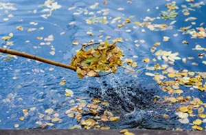 Pond Cleaning Fulwood (01772)