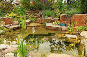 Pond Design Stroud