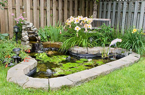 Pond Installers Wroughton