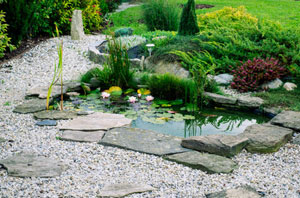 Pond Installers Patchway