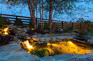 Pond Lighting Chelsea